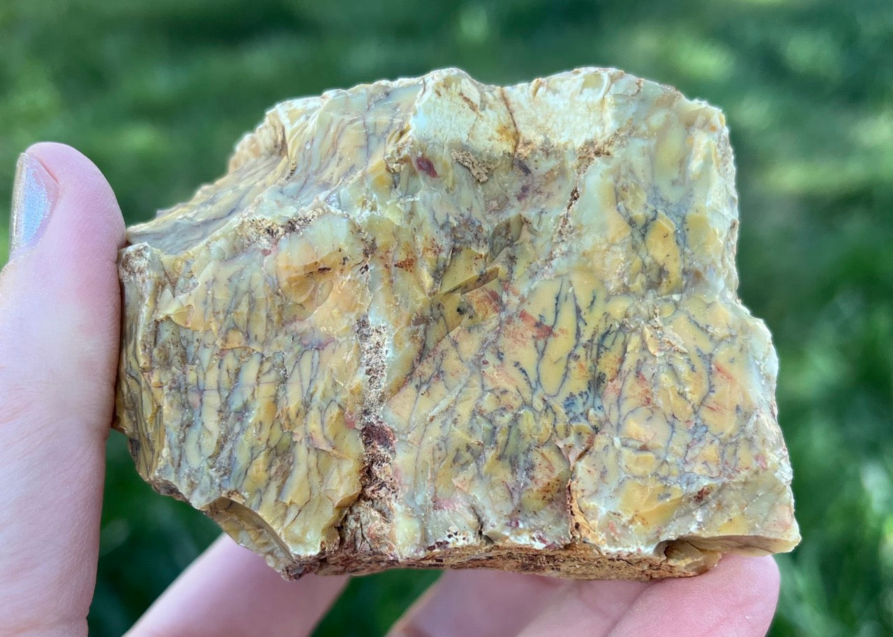 Australian Dendritic Opal Lapidary Rough Rock Specimen - Lucky Calico Gem & Jewelry Co.