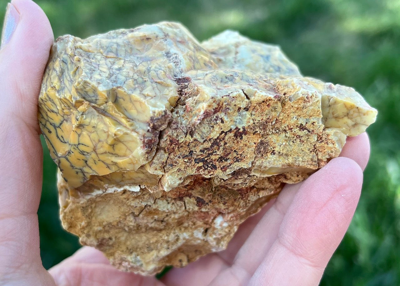 Australian Dendritic Opal Lapidary Rough Rock Specimen - Lucky Calico Gem & Jewelry Co.