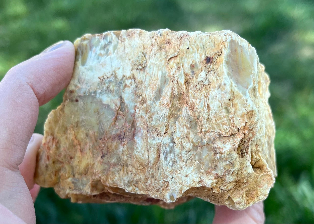 Australian Dendritic Opal Lapidary Rough Rock Specimen - Lucky Calico Gem & Jewelry Co.