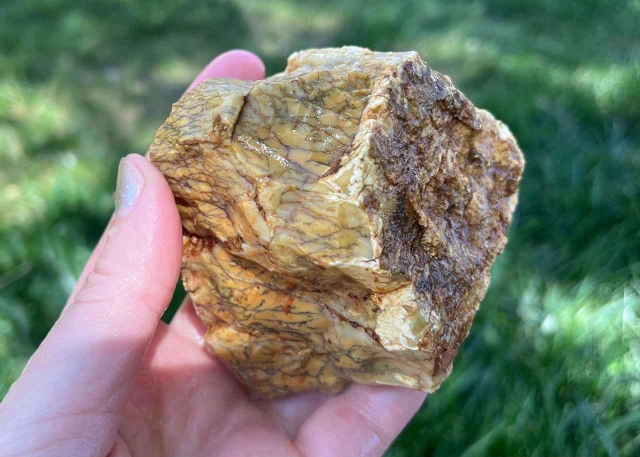 Australian Dendritic Opal Lapidary Rough Rock Specimen - Lucky Calico Gem & Jewelry Co.