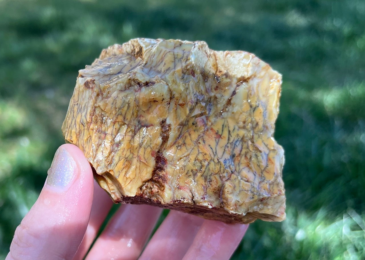 Australian Dendritic Opal Lapidary Rough Rock Specimen - Lucky Calico Gem & Jewelry Co.