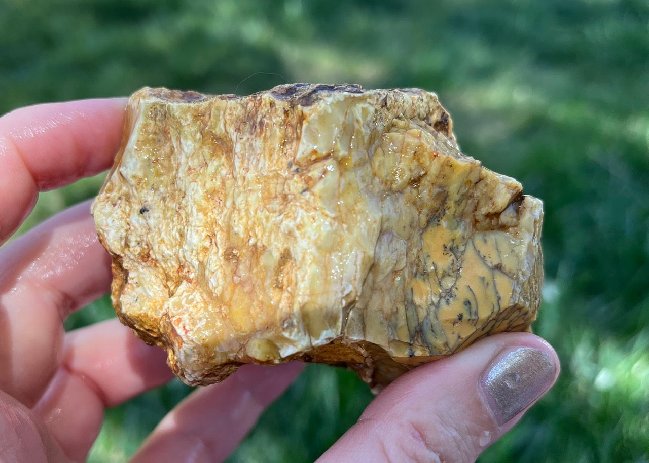 Australian Dendritic Opal Lapidary Rough Rock Specimen - Lucky Calico Gem & Jewelry Co.