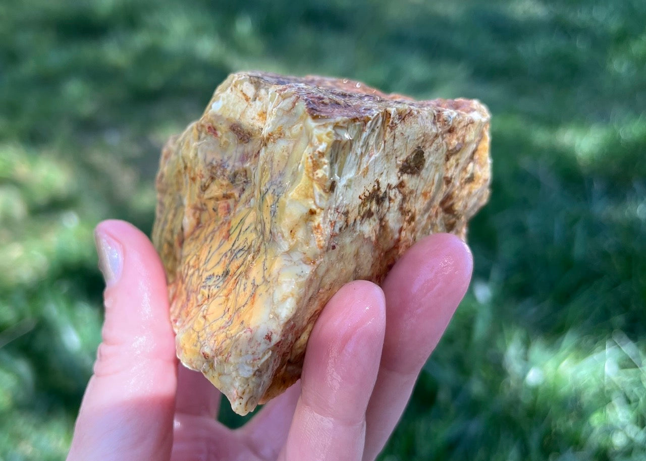 Australian Dendritic Opal Lapidary Rough Rock Specimen - Lucky Calico Gem & Jewelry Co.