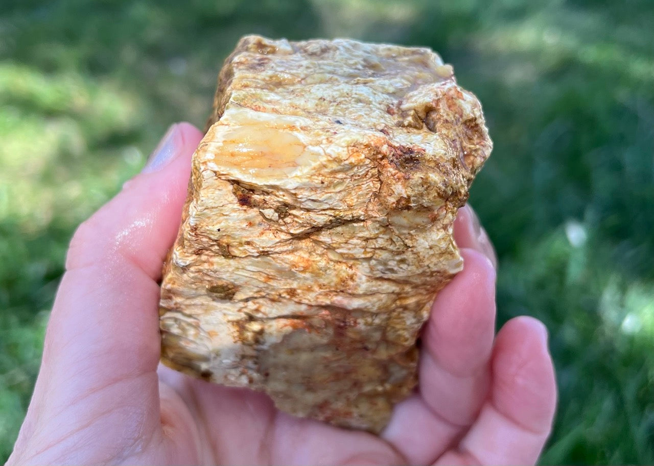 Australian Dendritic Opal Lapidary Rough Rock Specimen - Lucky Calico Gem & Jewelry Co.