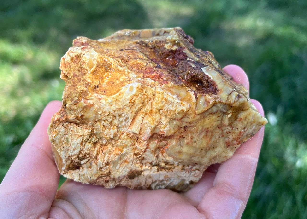Australian Dendritic Opal Lapidary Rough Rock Specimen - Lucky Calico Gem & Jewelry Co.