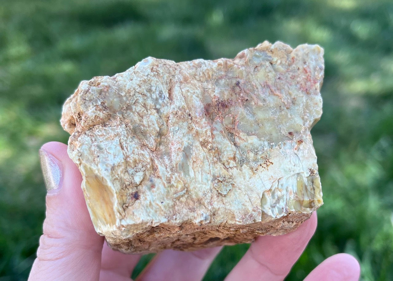 Australian Dendritic Opal Lapidary Rough Rock Specimen - Lucky Calico Gem & Jewelry Co.