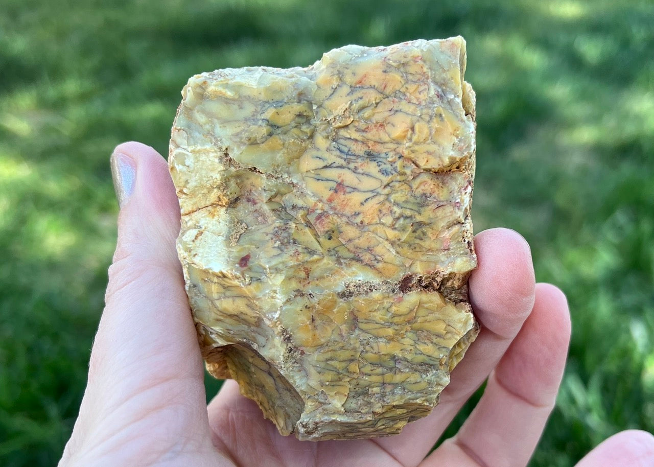 Australian Dendritic Opal Lapidary Rough Rock Specimen - Lucky Calico Gem & Jewelry Co.