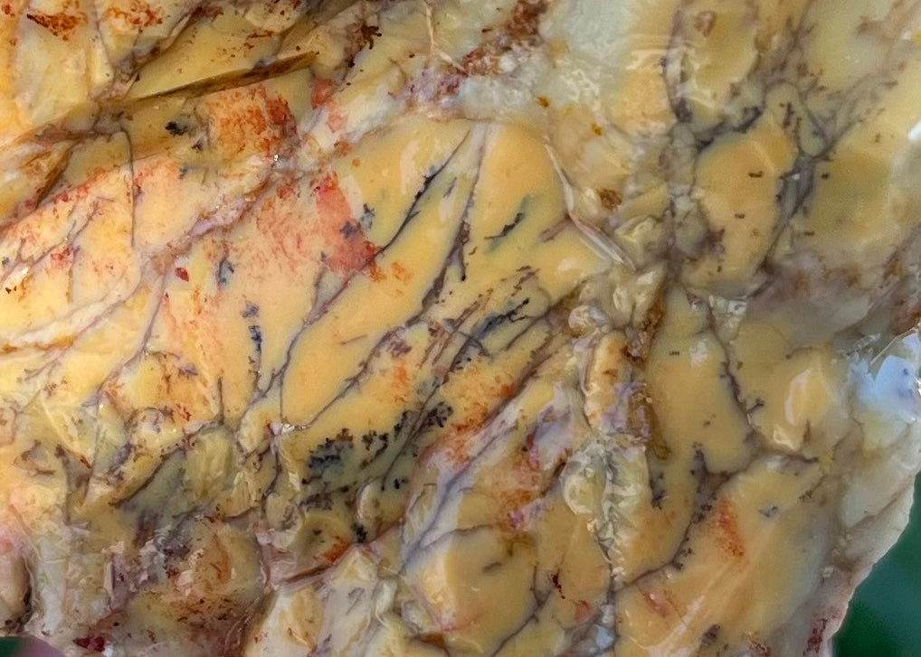 Australian Dendritic Opal Lapidary Rough Rock Specimen - Lucky Calico Gem & Jewelry Co.