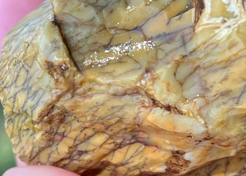 Australian Dendritic Opal Lapidary Rough Rock Specimen - Lucky Calico Gem & Jewelry Co.