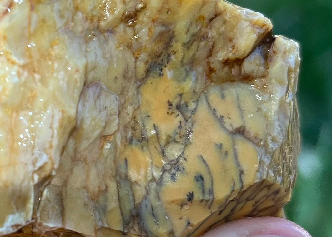Australian Dendritic Opal Lapidary Rough Rock Specimen - Lucky Calico Gem & Jewelry Co.