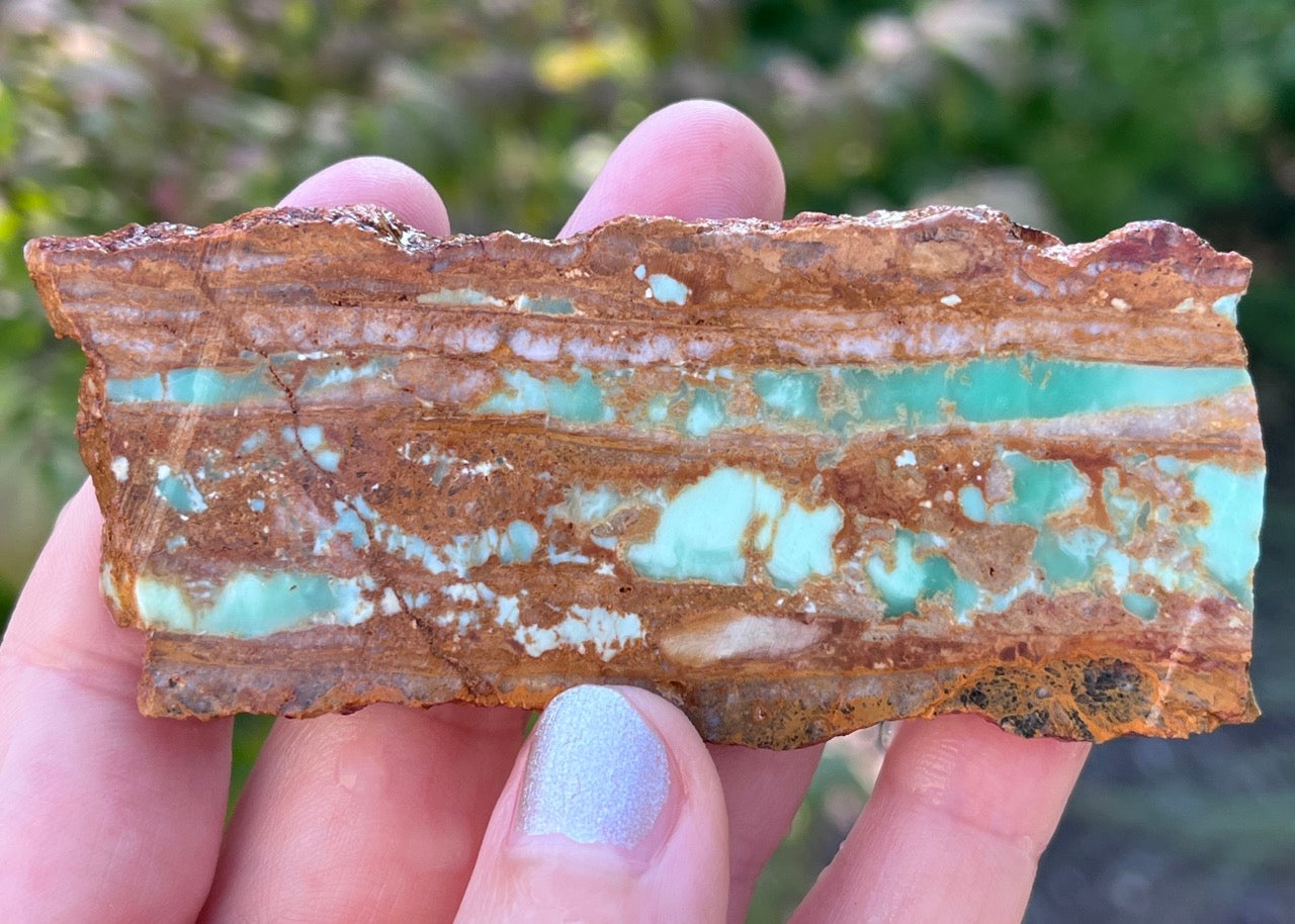 Australian Ribbon Variscite Lapidary Rock Slab - Lucky Calico Gem & Jewelry Co.