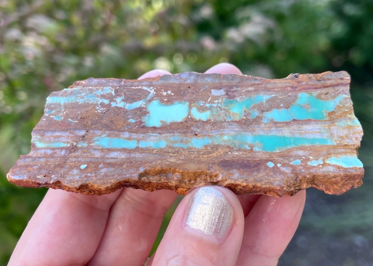 Australian Ribbon Variscite Lapidary Rock Slab - Lucky Calico Gem & Jewelry Co.