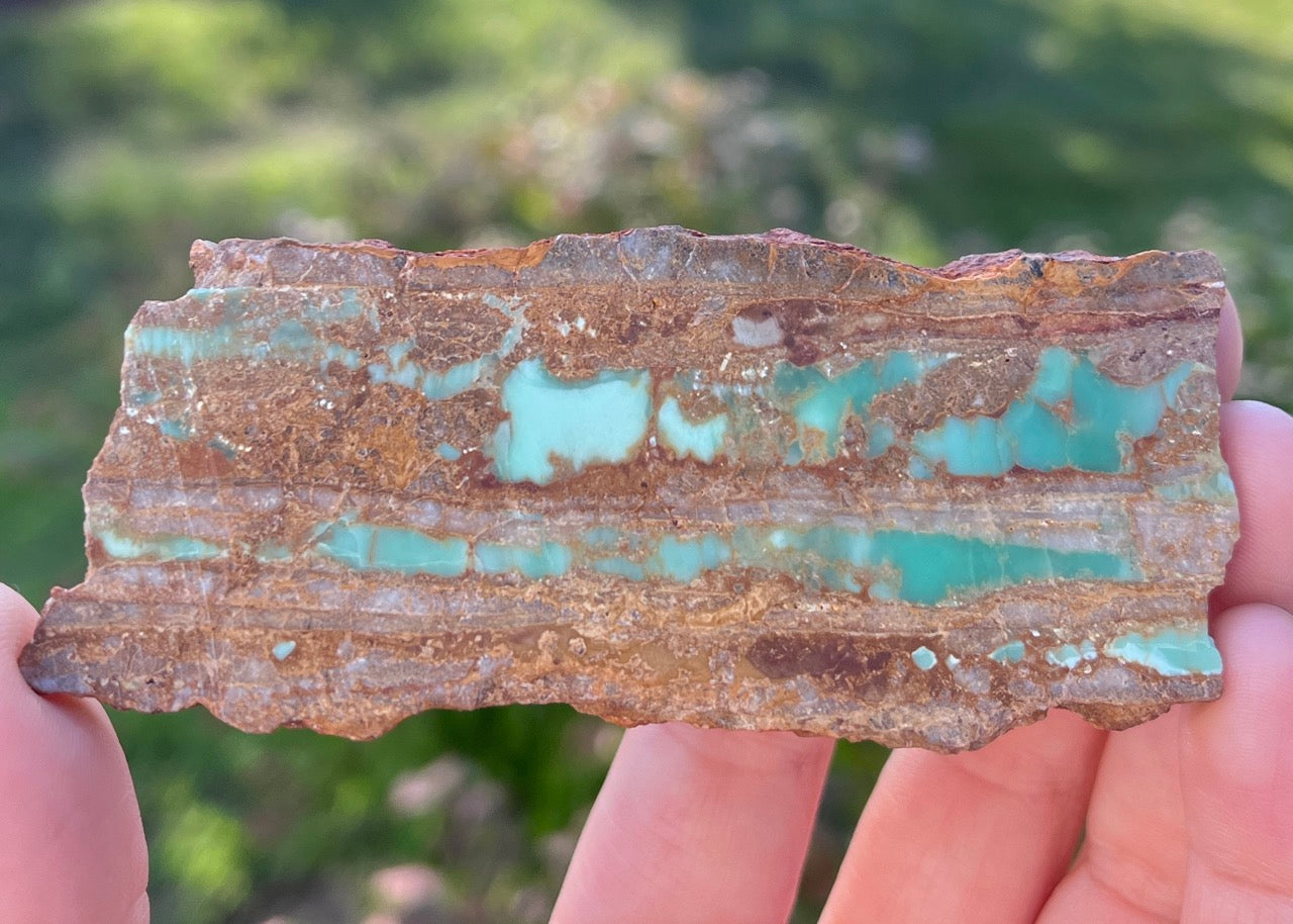 Australian Ribbon Variscite Lapidary Rock Slab - Lucky Calico Gem & Jewelry Co.
