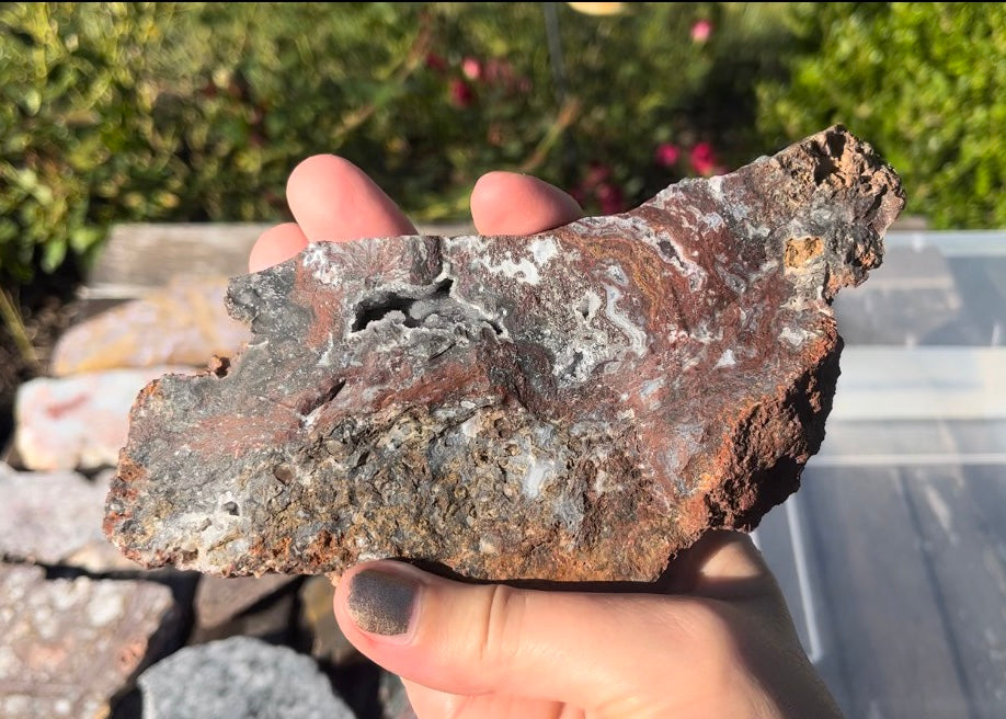 Barrel Cactus Moss Agate Slab
