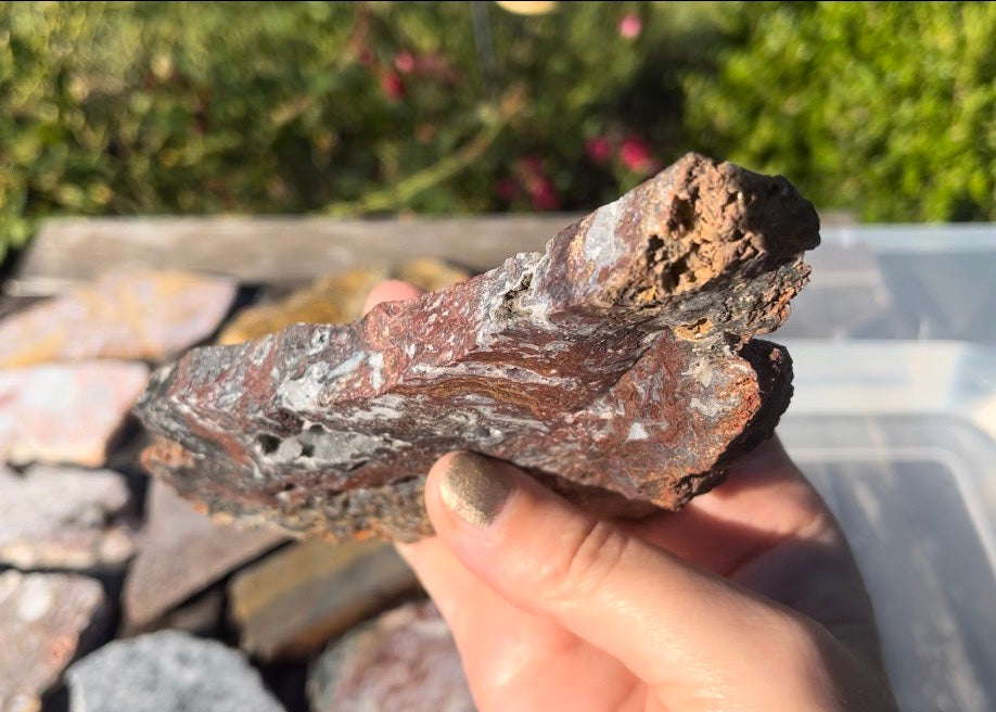 Barrel Cactus Moss Agate Slab
