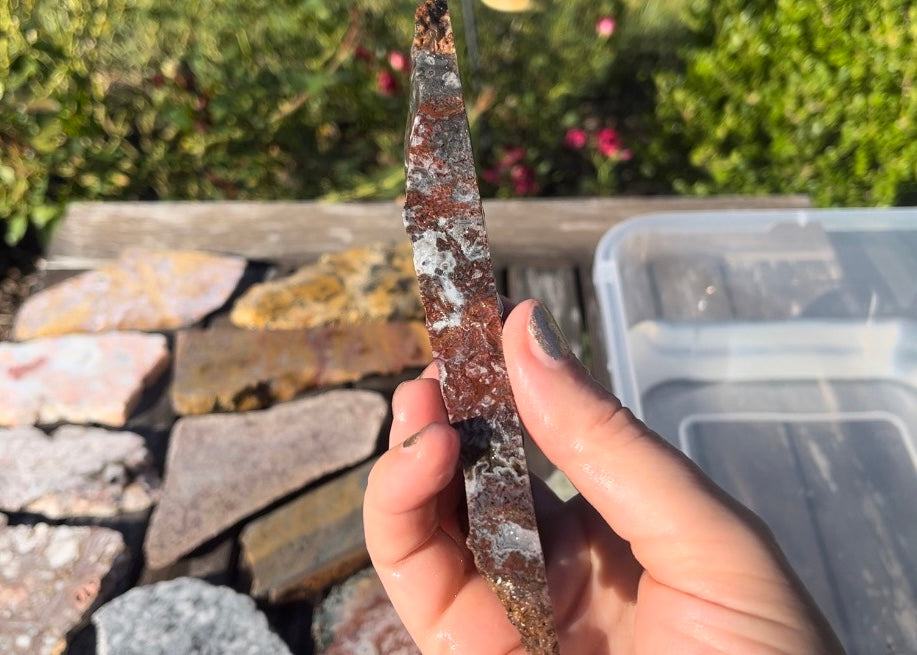 Barrel Cactus Moss Agate Slab