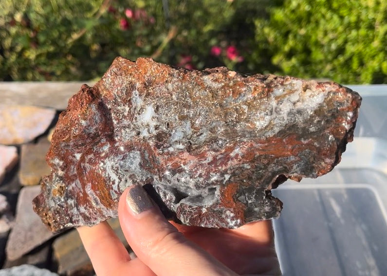 Barrel Cactus Moss Agate Slab