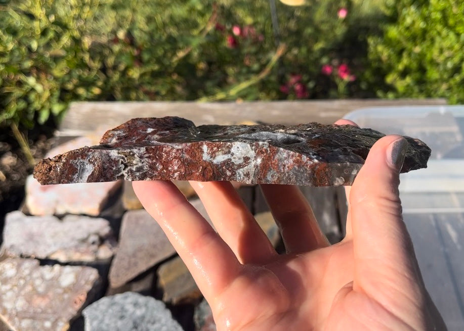 Barrel Cactus Moss Agate Slab