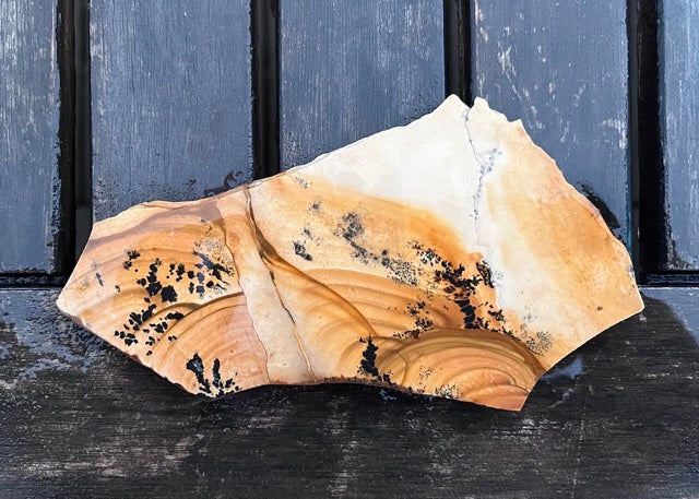 Oregon Biggs China Hollow Jasper Lapidary Rock Slab - Lucky Calico Gem & Jewelry Co.