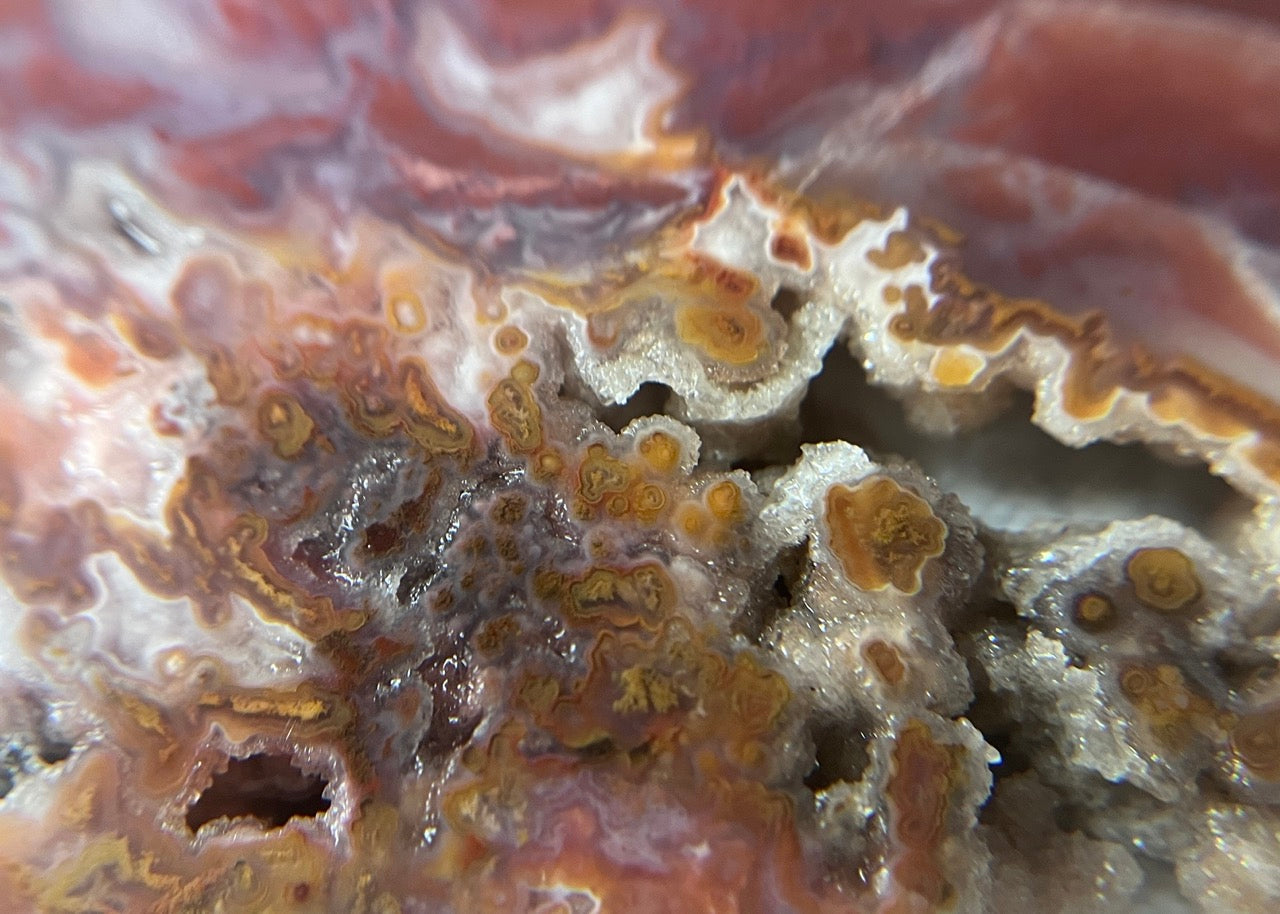 Mexican Bird of Paradise Lapidary Rock Slab - Lucky Calico Gem & Jewelry Co.