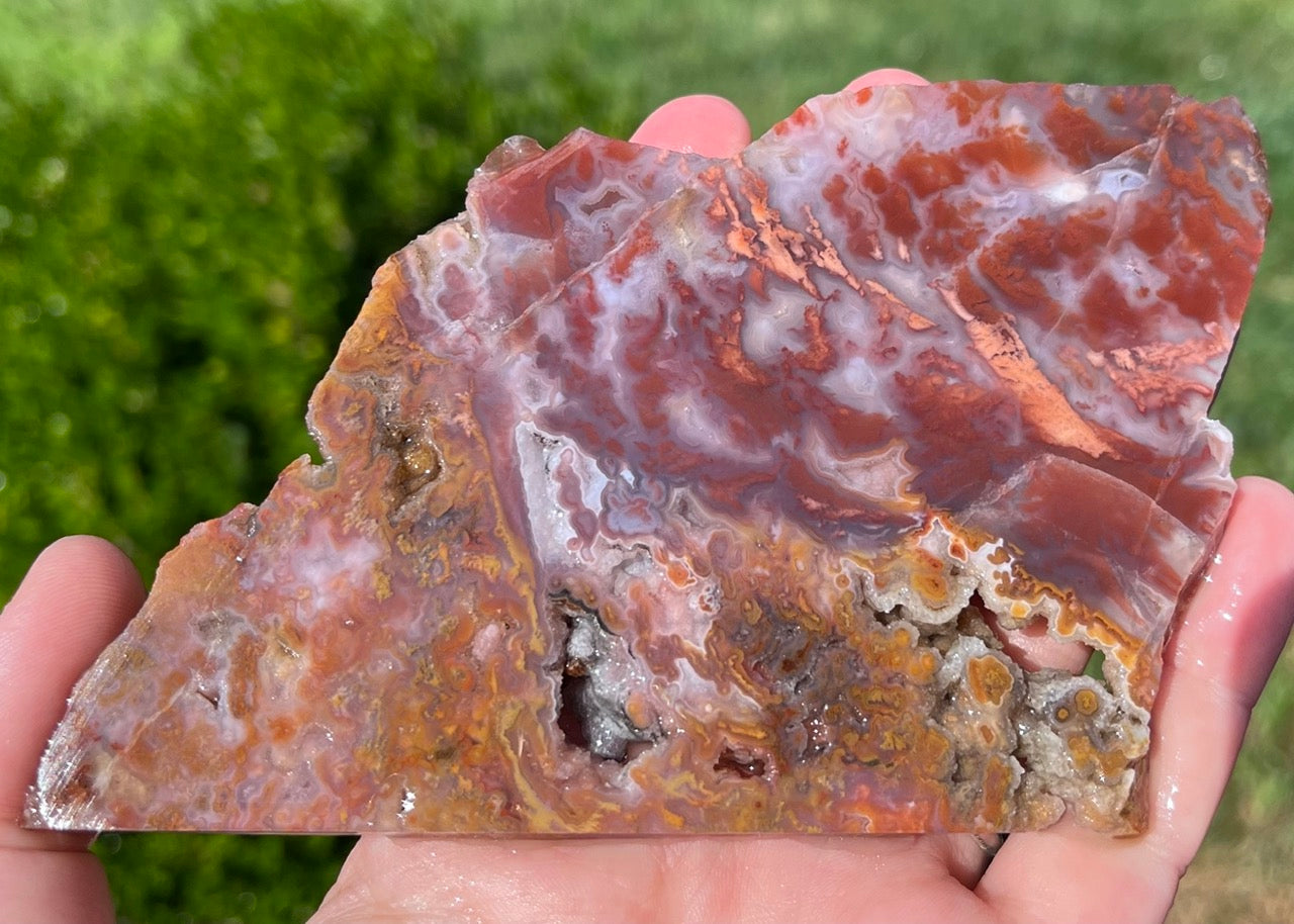 Mexican Bird of Paradise Lapidary Rock Slab - Lucky Calico Gem & Jewelry Co.