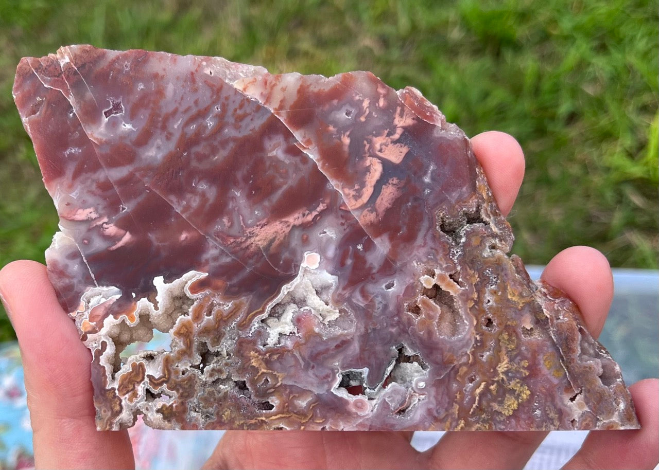 Mexican Bird of Paradise Lapidary Rock Slab - Lucky Calico Gem & Jewelry Co.