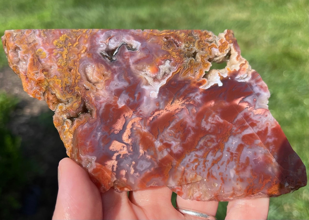 Mexican Bird of Paradise Lapidary Rock Slab - Lucky Calico Gem & Jewelry Co.