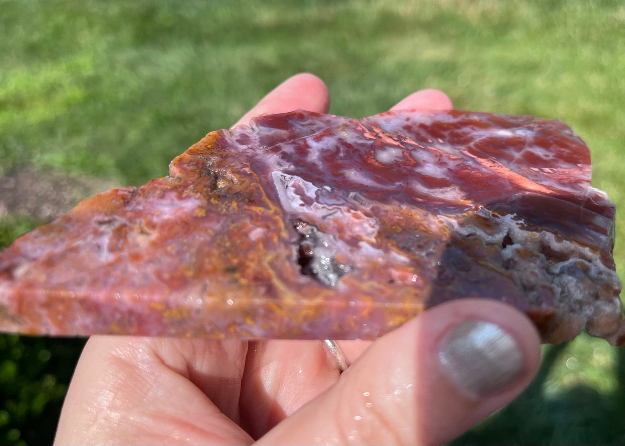 Mexican Bird of Paradise Lapidary Rock Slab - Lucky Calico Gem & Jewelry Co.