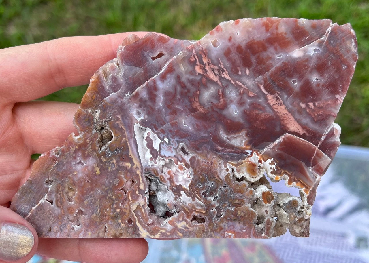 Mexican Bird of Paradise Lapidary Rock Slab - Lucky Calico Gem & Jewelry Co.