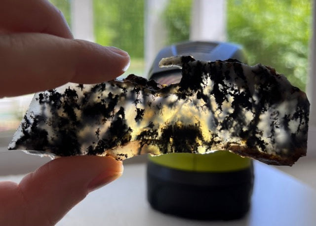 Black Plume Agate Lapidary Rock Slabs