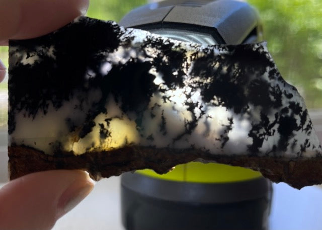 Black Plume Agate Lapidary Rock Slabs