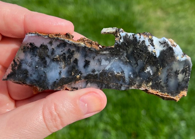 Black Plume Agate Lapidary Rock Slabs