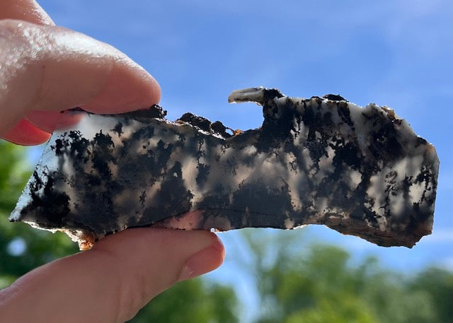 Black Plume Agate Lapidary Rock Slabs