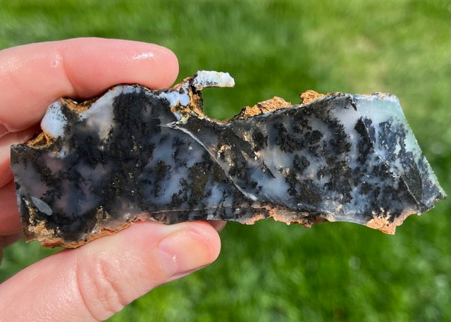Black Plume Agate Lapidary Rock Slabs