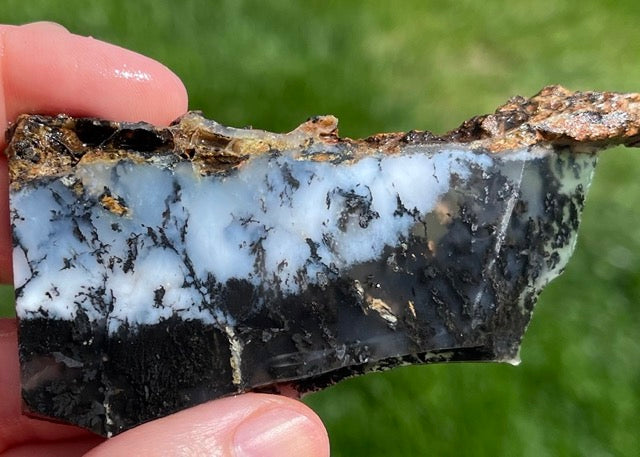 Black Plume Agate Lapidary Rock Slabs