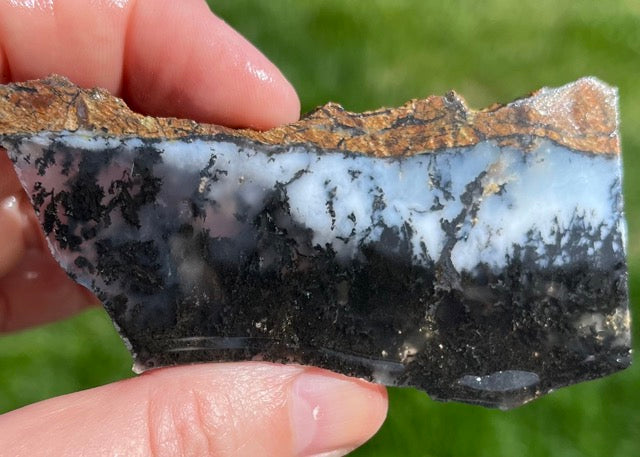 Black Plume Agate Lapidary Rock Slabs