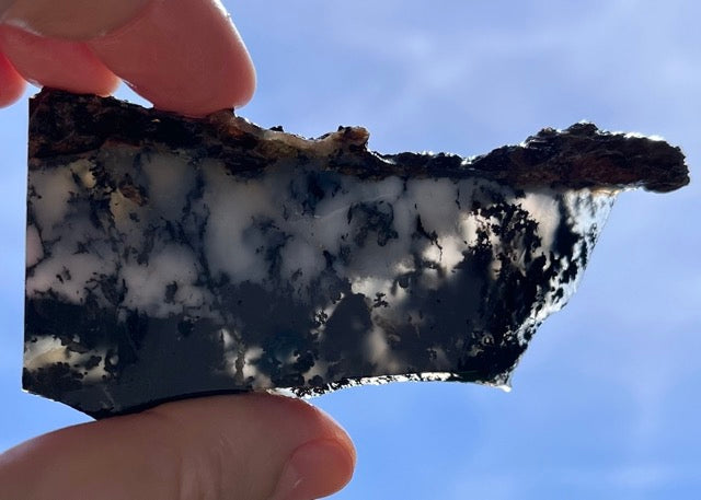 Black Plume Agate Lapidary Rock Slabs