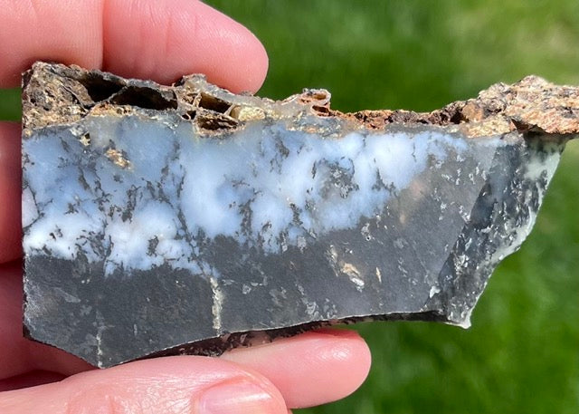 Black Plume Agate Lapidary Rock Slabs