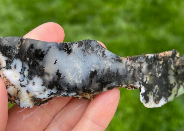 Black Plume Agate Lapidary Trim Cuts