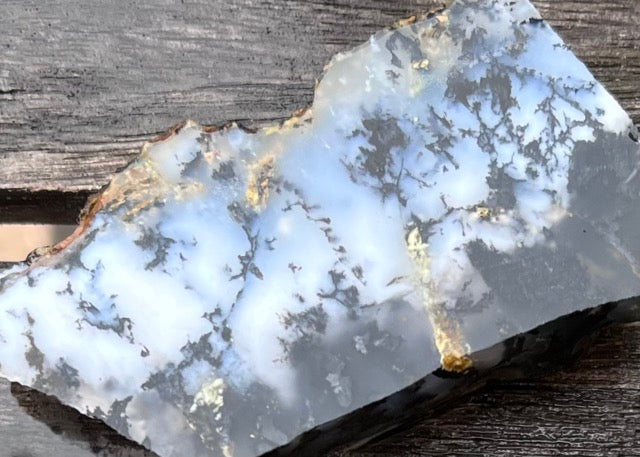 Black Plume Agate Lapidary Trim Cuts