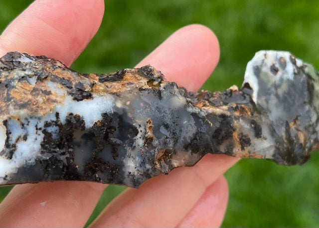 Black Plume Agate Lapidary Trim Cuts