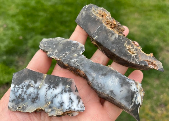 Black Plume Agate Lapidary Trim Cuts
