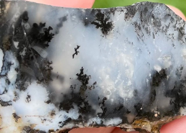 Black Plume Agate Lapidary Trim Cuts