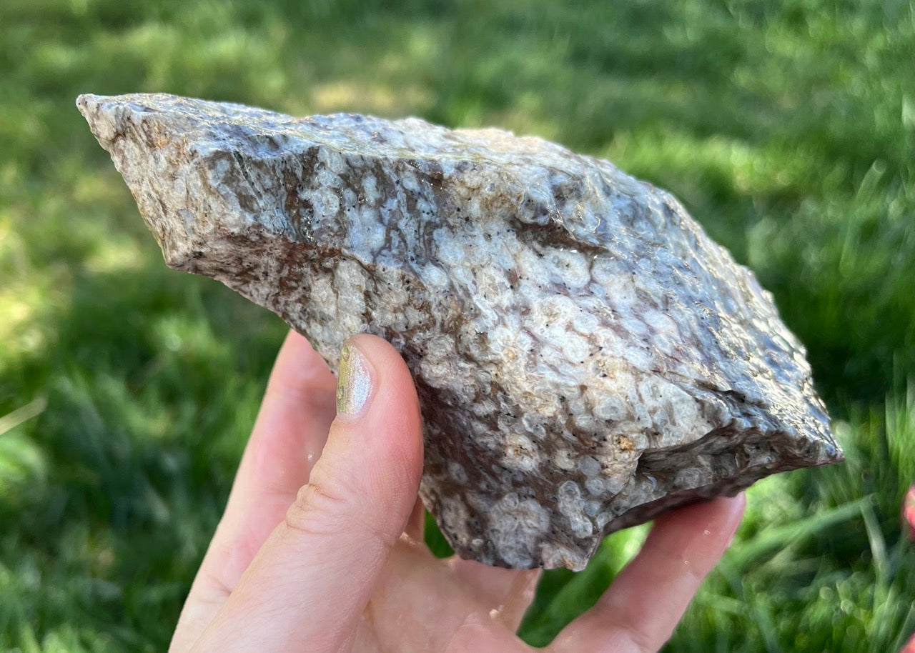 Bug's Eye Rhyolite Lapidary Rough Rock Specimen