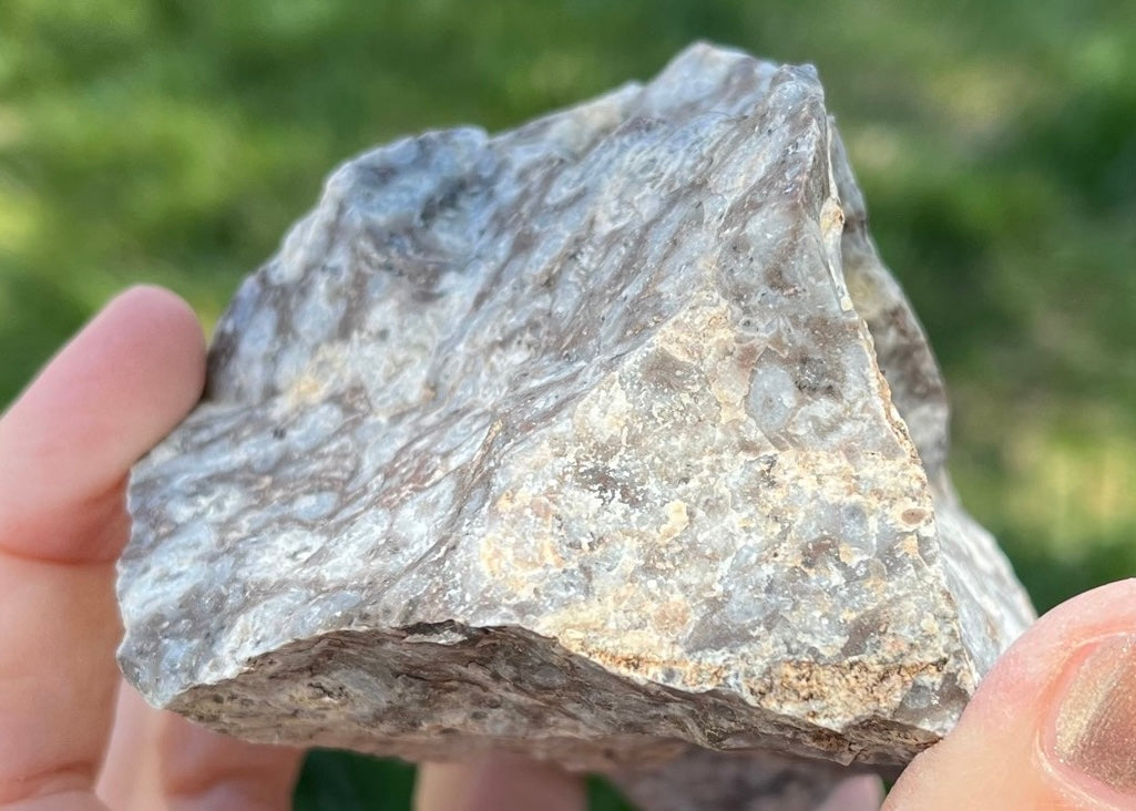 Bug's Eye Rhyolite Lapidary Rough Rock Specimen