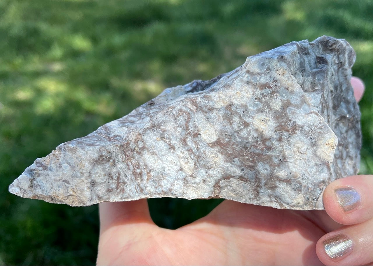 Bug's Eye Rhyolite Lapidary Rough Rock Specimen