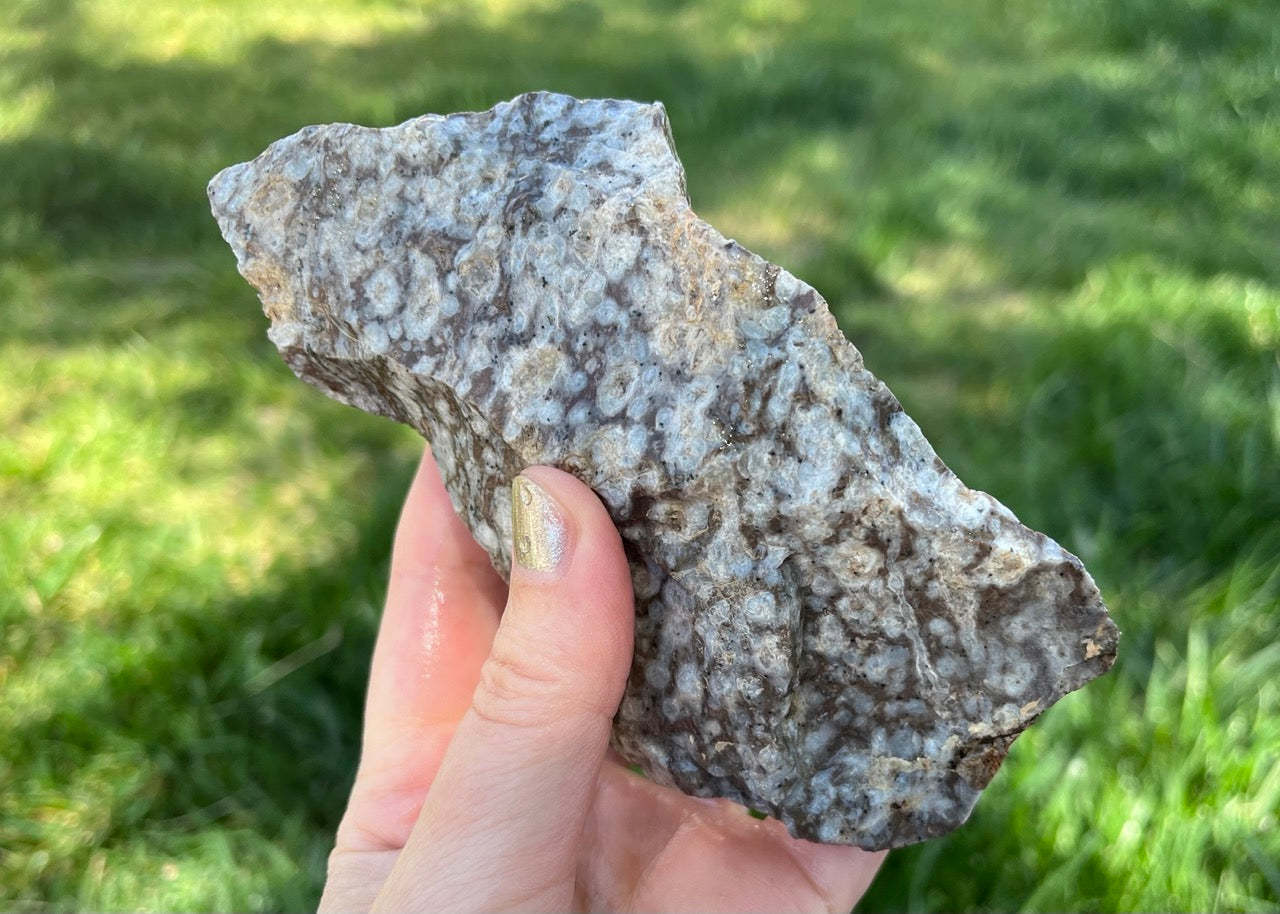 Bug's Eye Rhyolite Lapidary Rough Rock Specimen