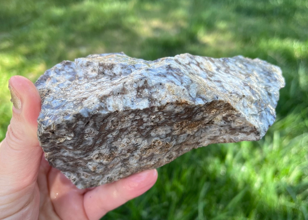 Bug's Eye Rhyolite Lapidary Rough Rock Specimen
