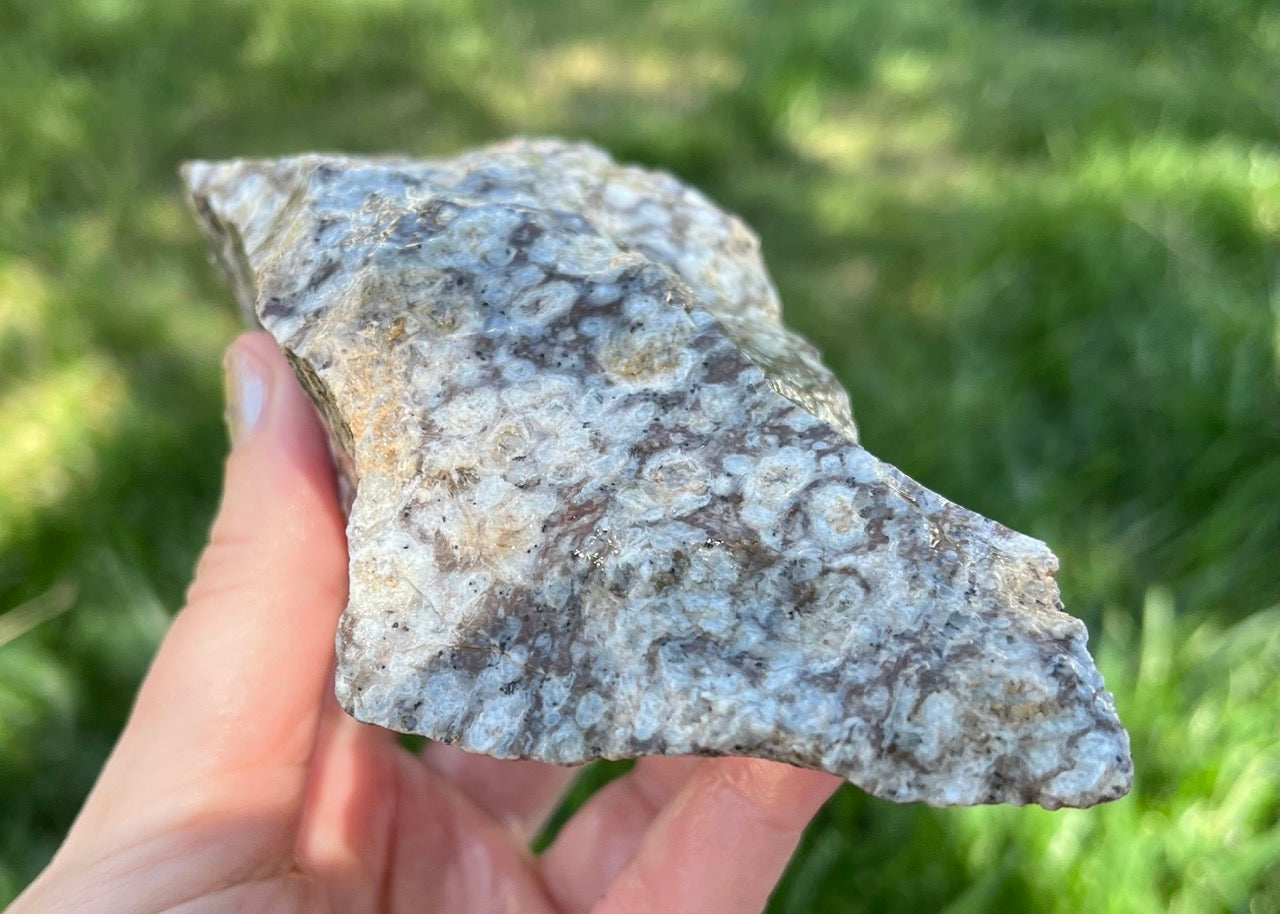 Bug's Eye Rhyolite Lapidary Rough Rock Specimen