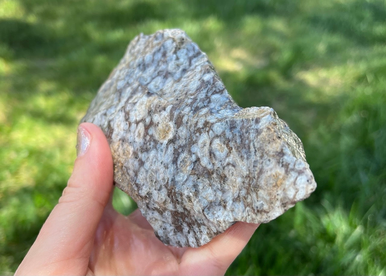 Bug's Eye Rhyolite Lapidary Rough Rock Specimen